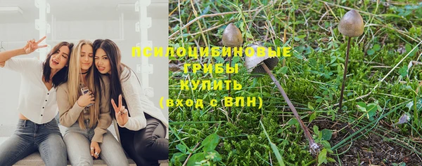 прущая мука Богородицк