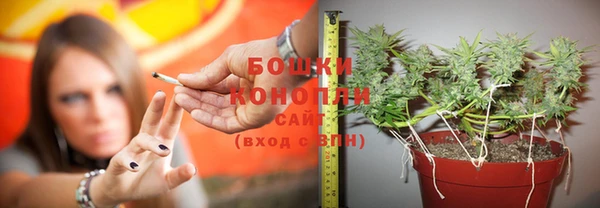шишки Богородск