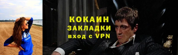 шишки Богородск