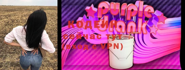 шишки Богородск