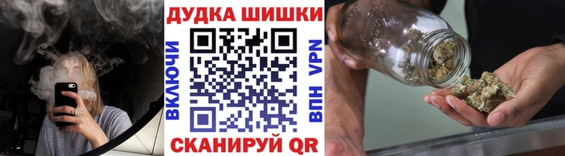 дарк нет официальный сайт  Пионерский  Шишки марихуана сатива 